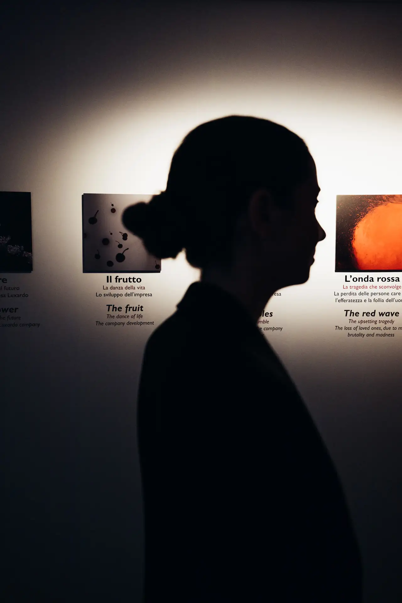 Marco Fadelli fotografo videomaker - Museo Luxardo